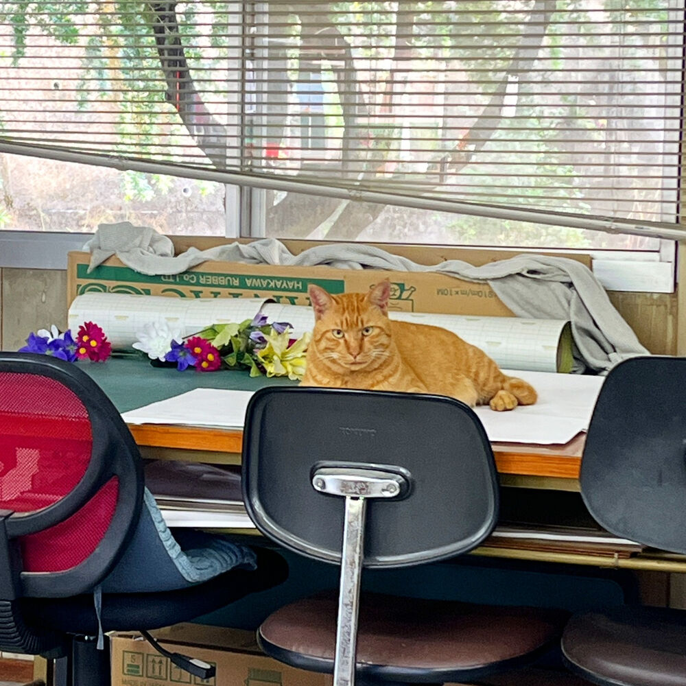 ブログ