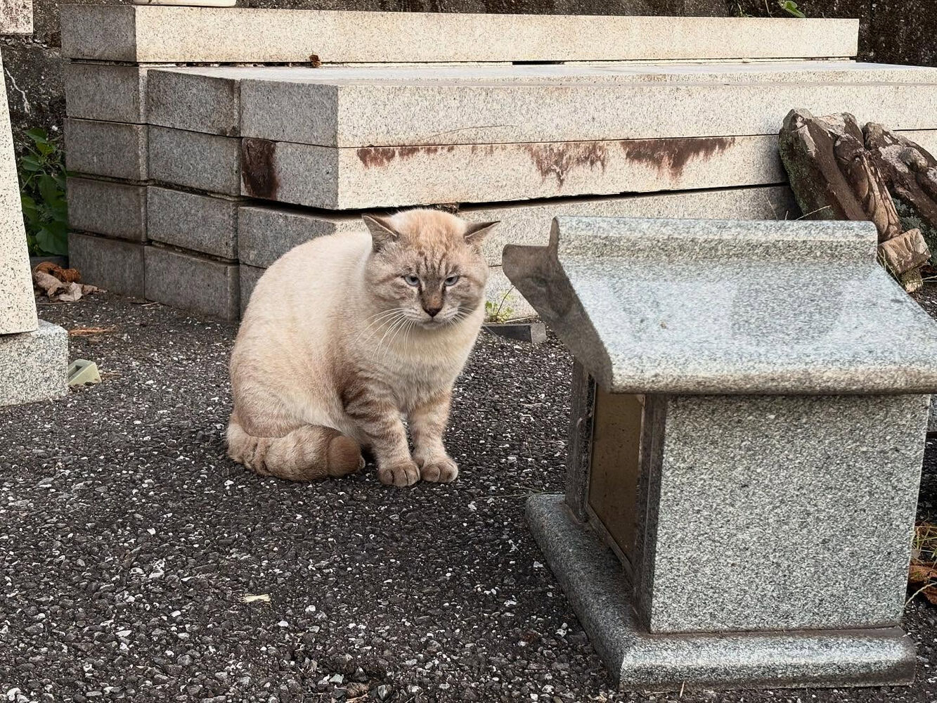 ブログ