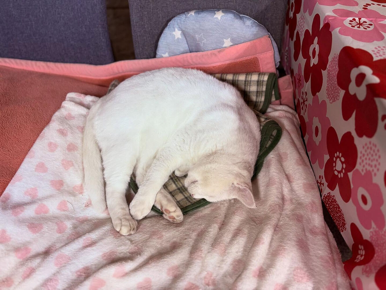 ブログ