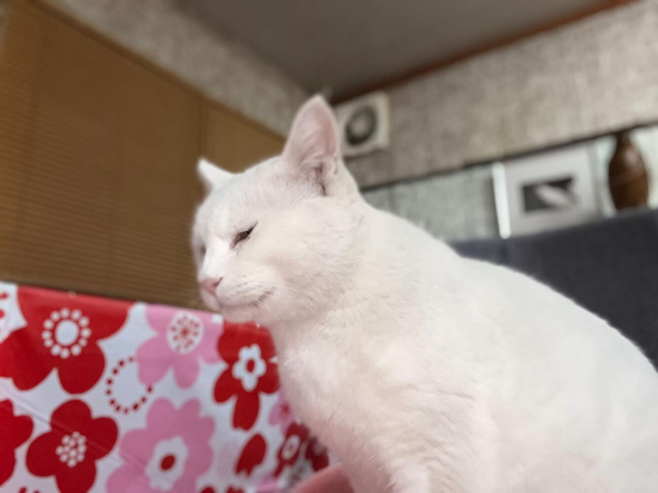 ブログ