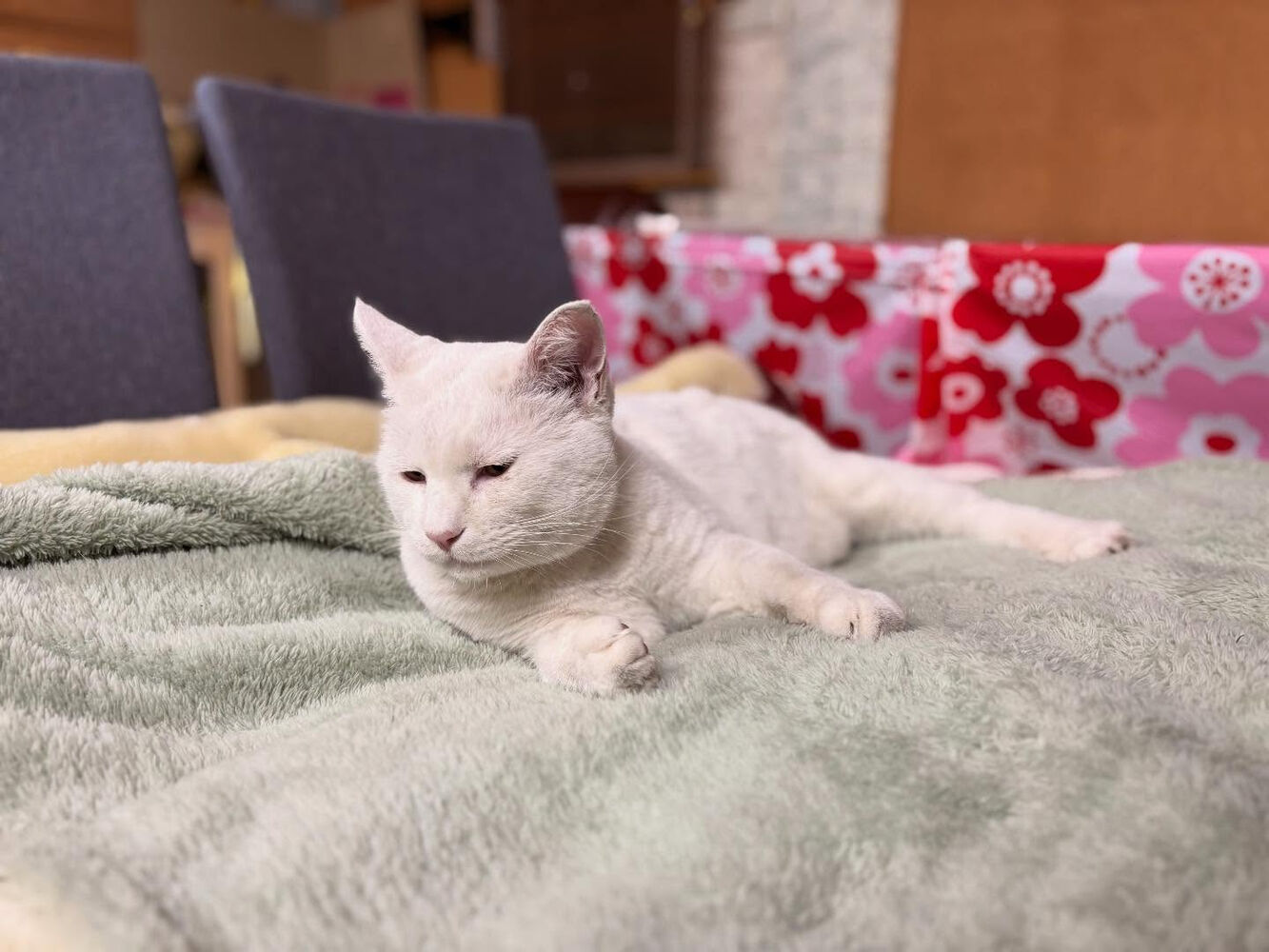 ブログ