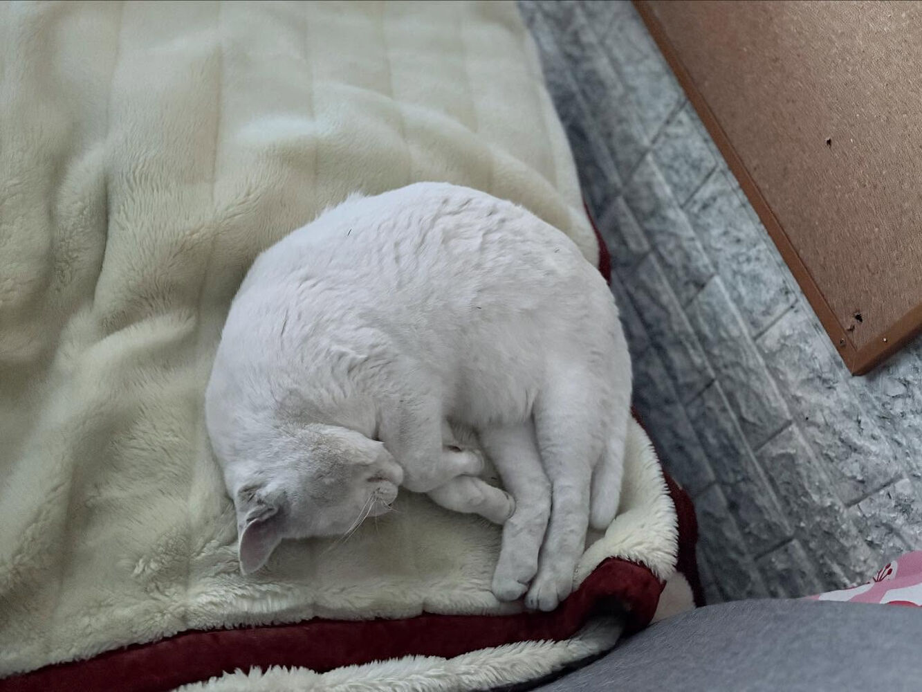 ブログ
