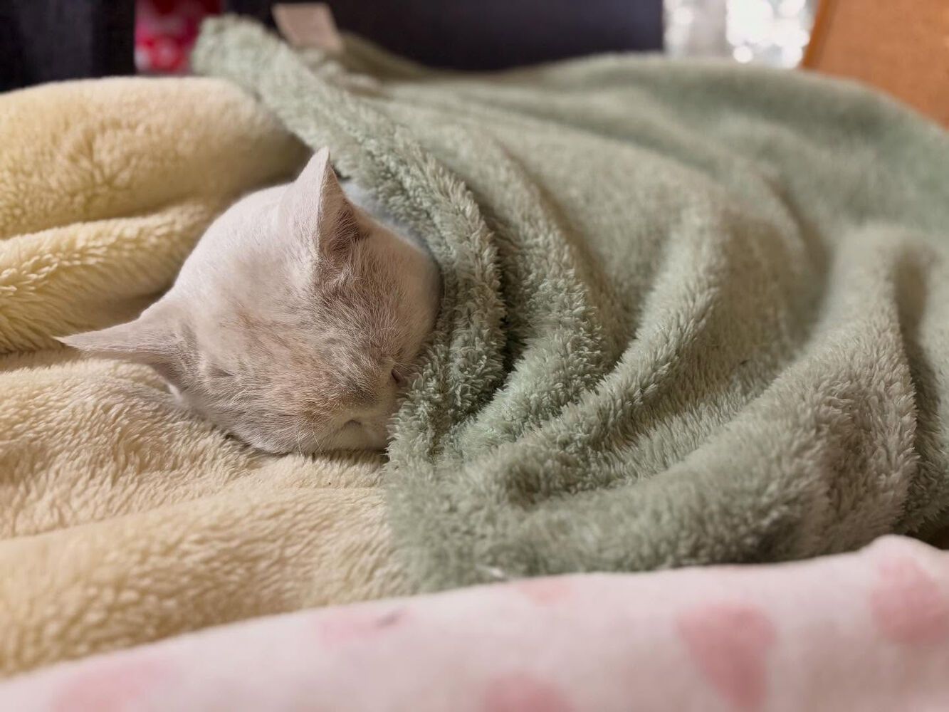 ブログ