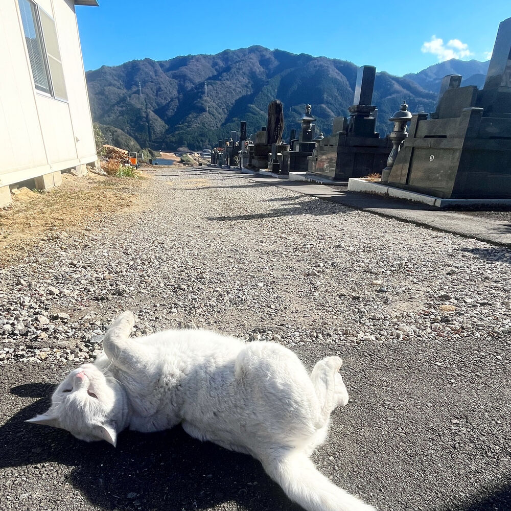ブログ