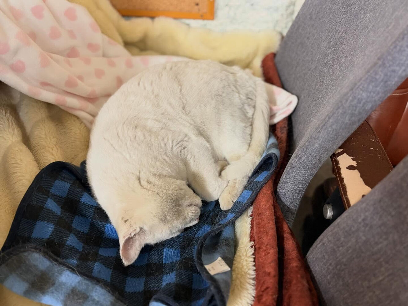 ブログ