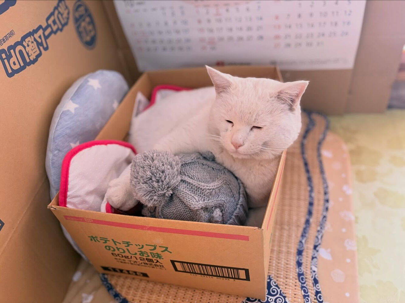 ブログ