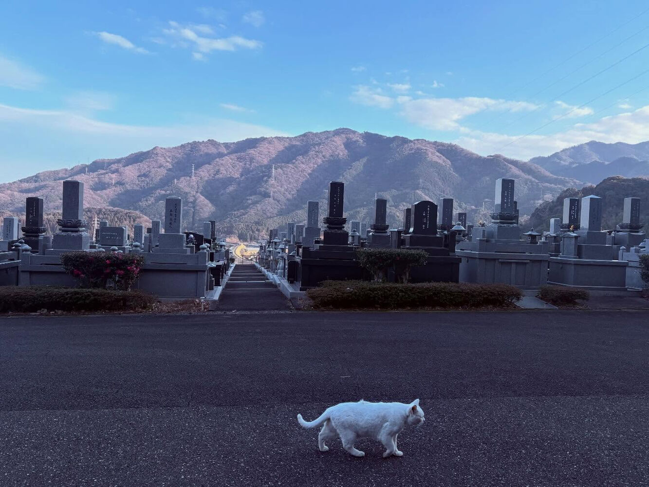 ブログ