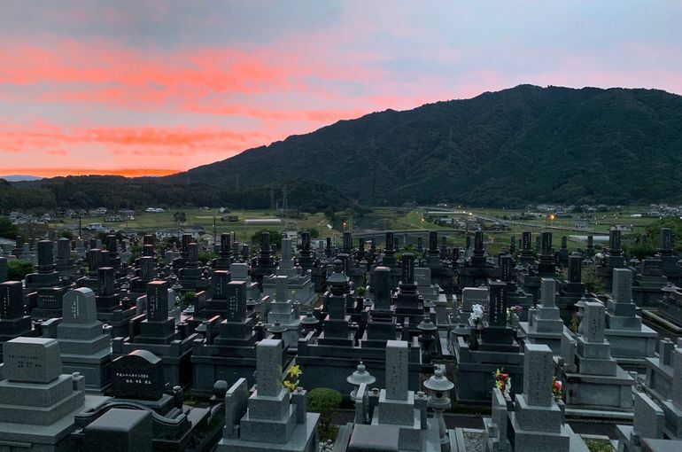 木上墓苑からの景色