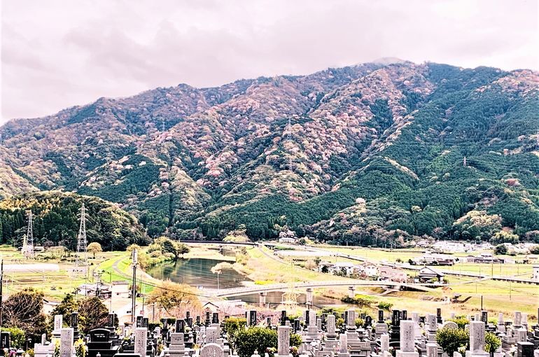木上墓苑からの景色