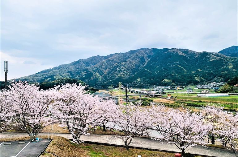 木上墓苑からの景色