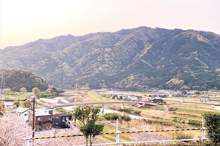 木上墓苑からの景色