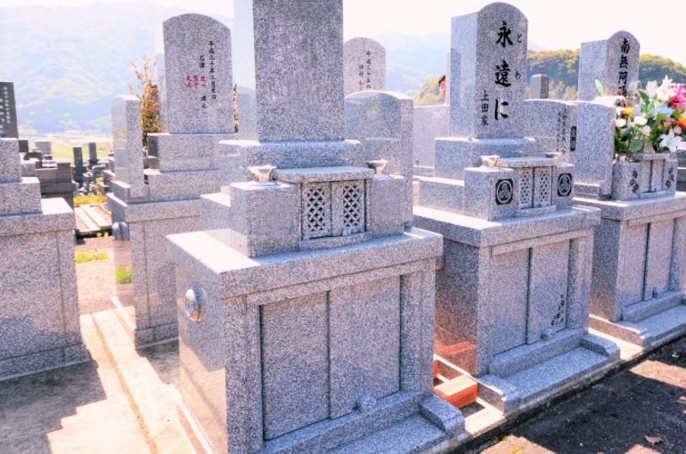 和洋墓画像