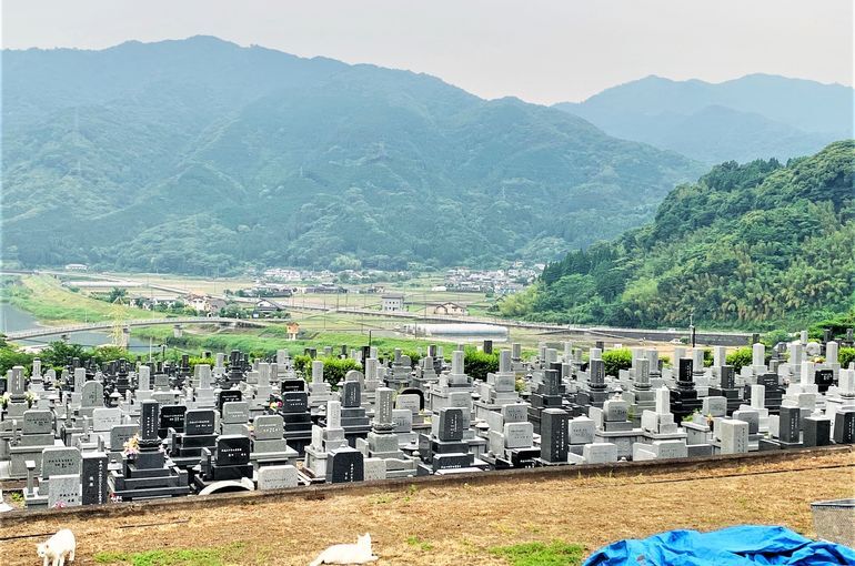 木上墓苑からの景色