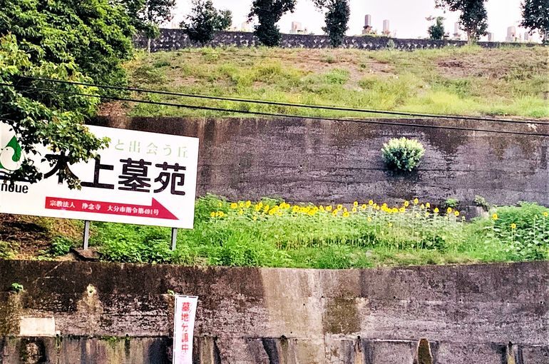 木上墓苑からの景色