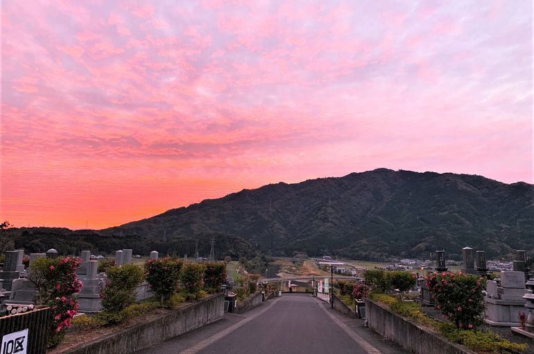 木上墓苑からの景色