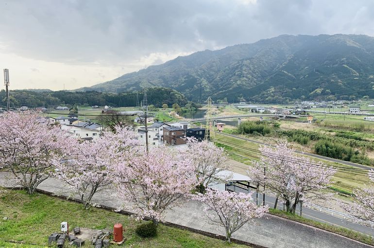 木上墓苑からの景色
