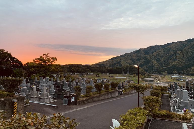 木上墓苑からの景色