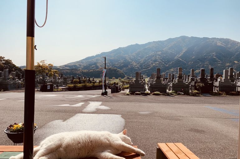 木上墓苑からの景色