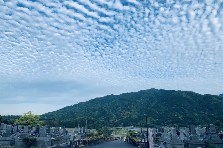木上墓苑からの景色