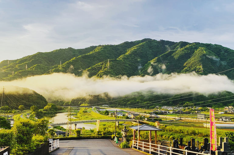 木上墓苑からの景色