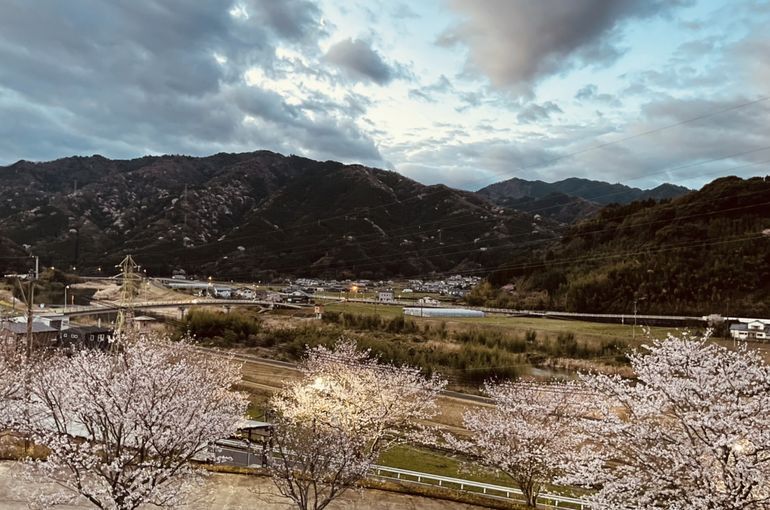 墓苑からの景色