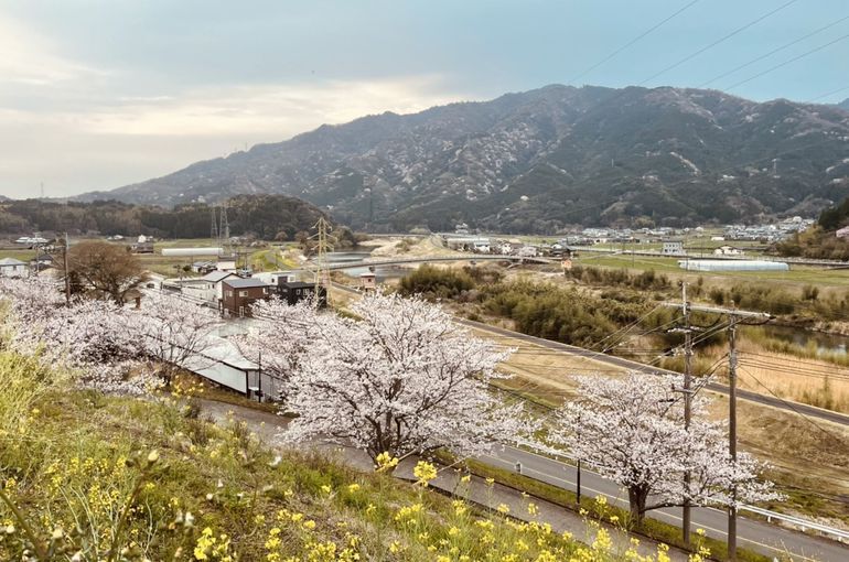 墓苑からの景色