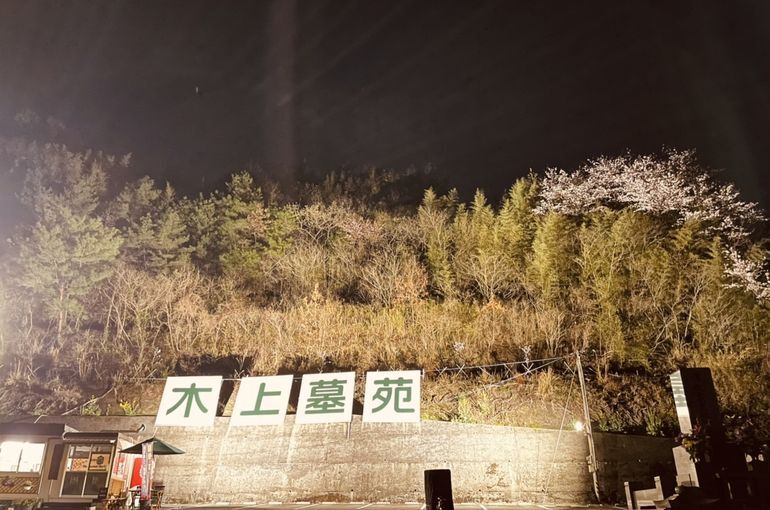 墓苑内の画像