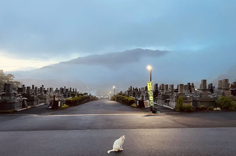 墓苑からの景色