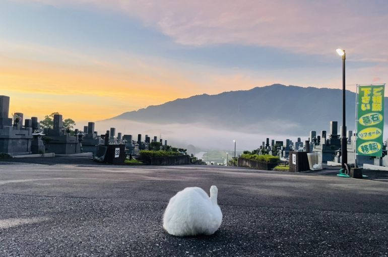 墓苑からの景色