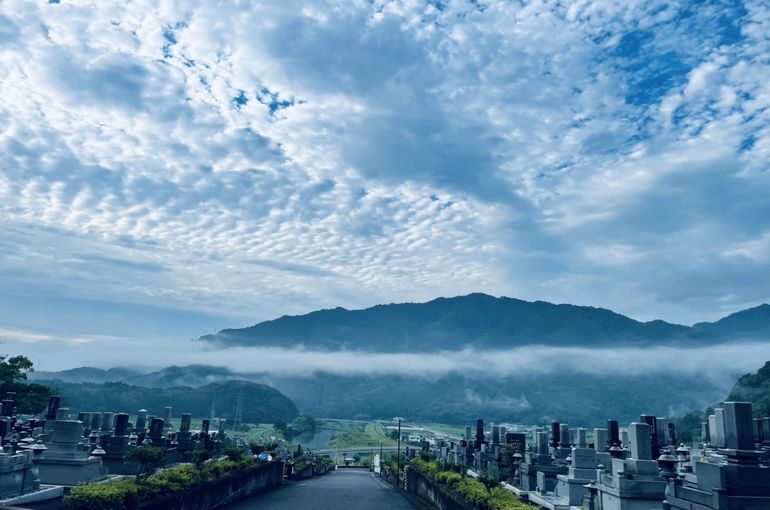 墓苑からの景色