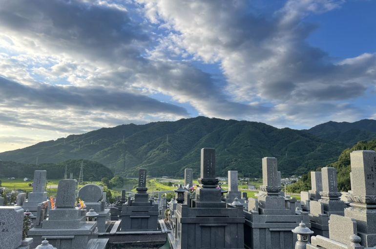 墓苑からの景色