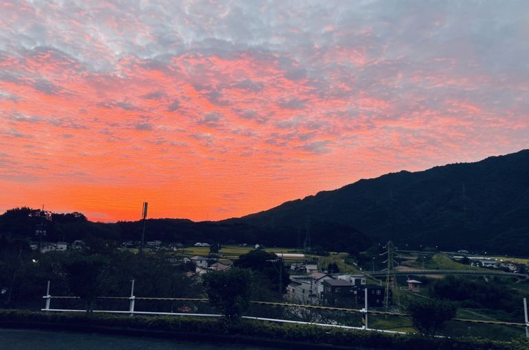 墓苑からの景色