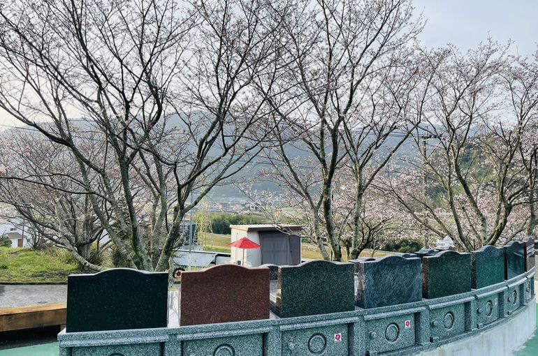 墓苑からの景色