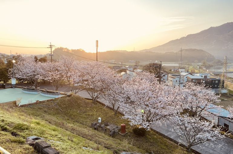 墓苑からの景色