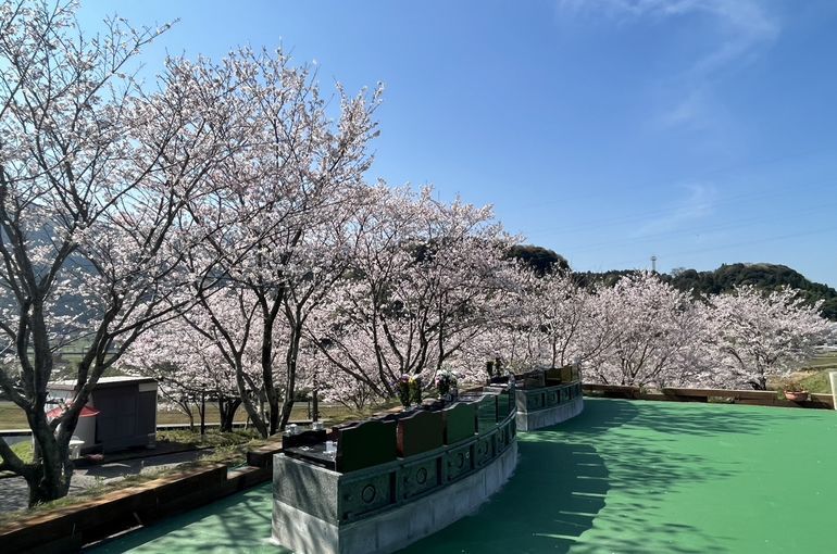 墓苑からの景色