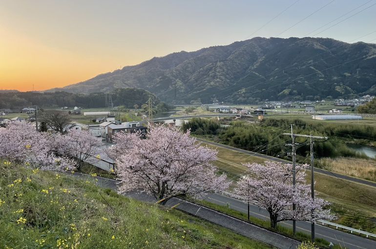 墓苑からの景色