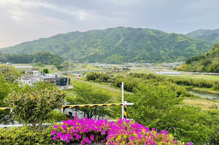 墓苑からの景色
